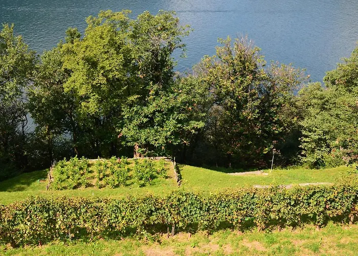 Tra E Montagna La Morena